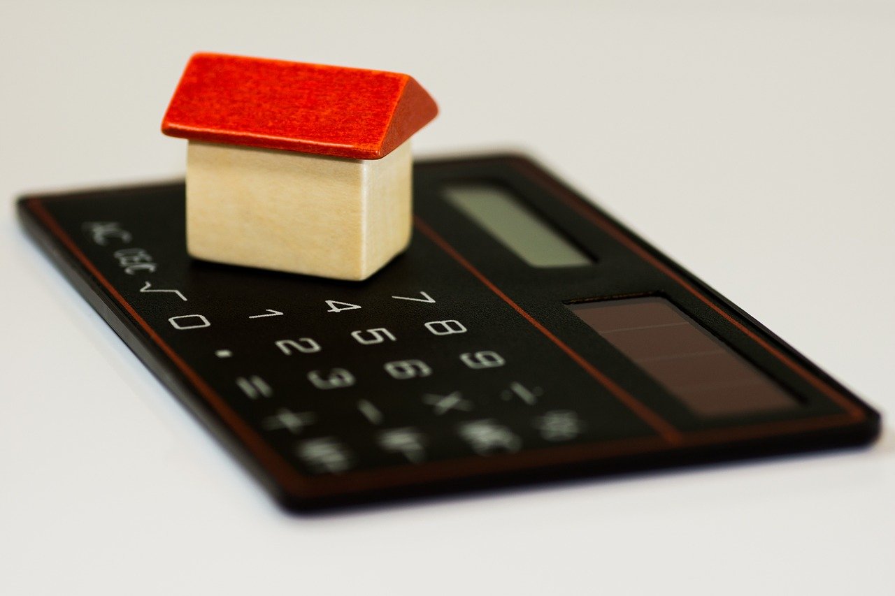 reste a vivre emprunter pour un credit immobilier